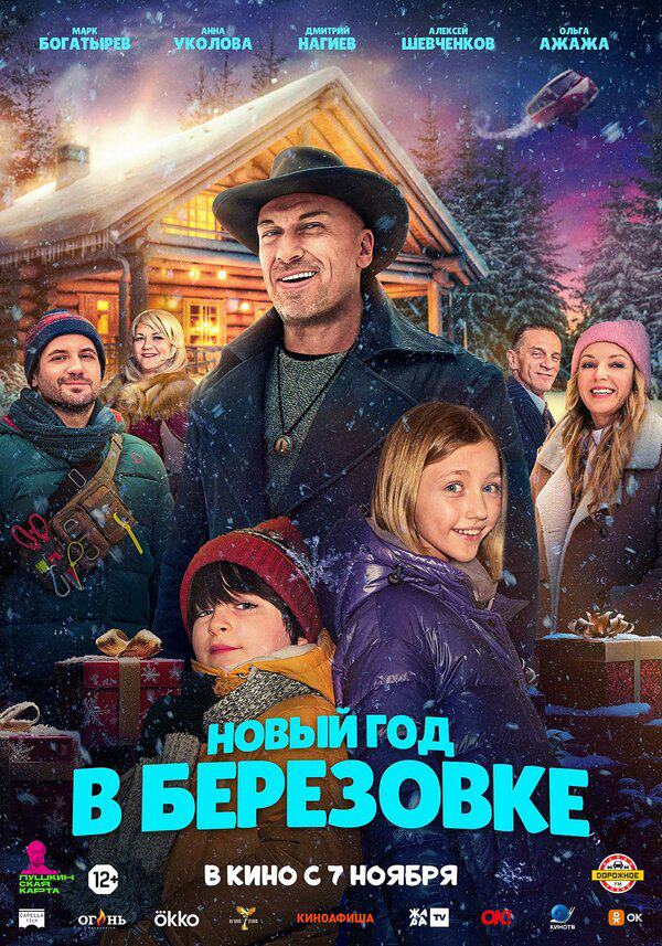 Новый год в Берёзовке - постер